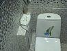 Ремонт ванной и туалета "Мозаика виноград"